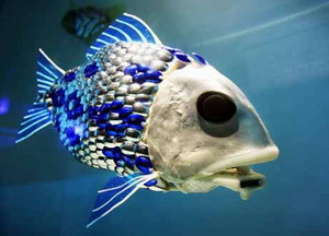 Thais consume too little fish despite its various benefits