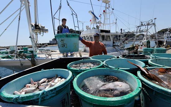 ผลวิจัยเผย ปลาในทะเลรอบฟูกูชิมะปนเปื้อน บ่งชี้ยังมีรังสีรั่วไหลจากโรงไฟฟ้า