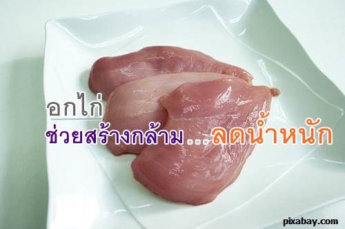 การกิน อกไก่ ช่วยสร้างกล้าม ลดน้ำหนัก 