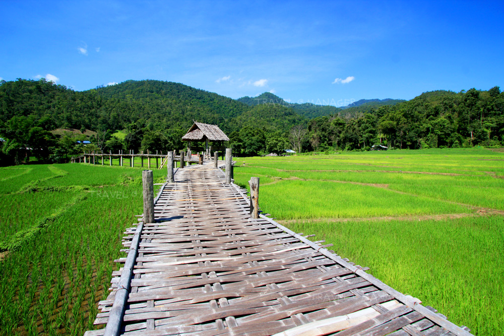 ปลายฝนต้นหนาว เที่ยว “แม่ฮ่องสอน” วิวสวยสุดตา เสน่ห์ตรึงใจ