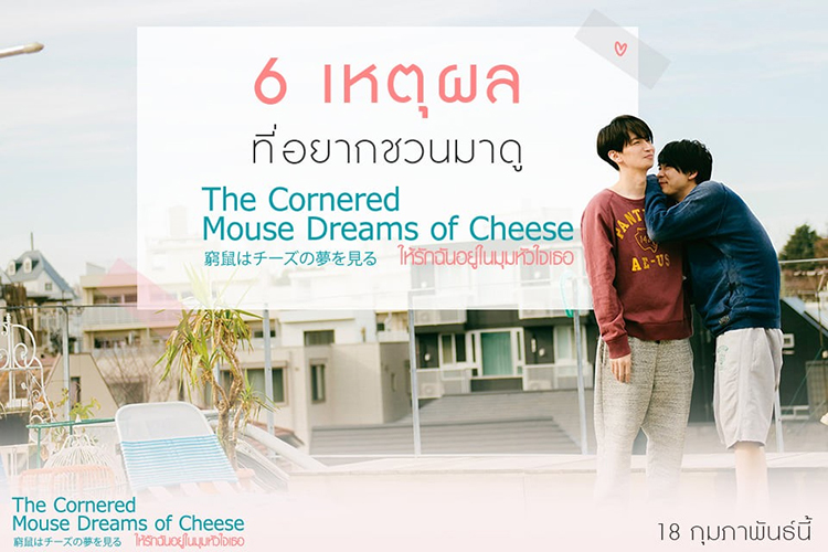 6 เหตุผลชวนมาดู The Cornered mouse dreams of cheese ให้รักฉันอยู่ในมุม