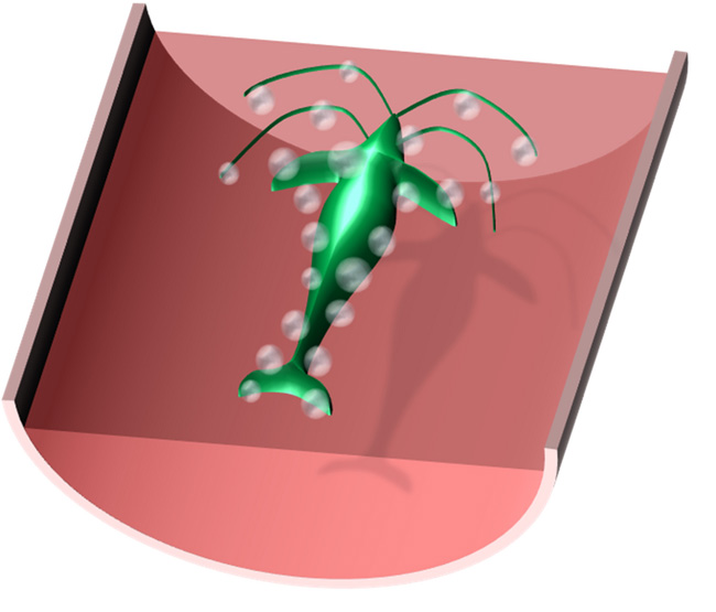 My Image 38