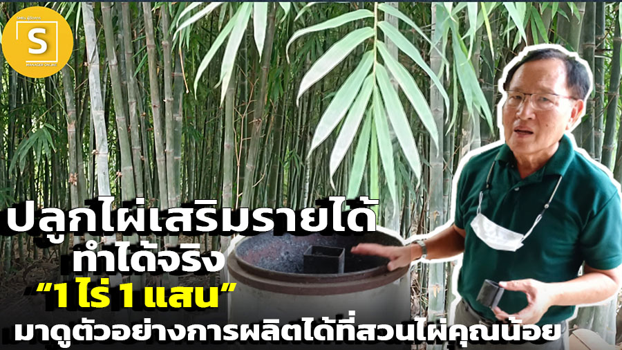 追加収入を得るために竹を植えることは、本当に「1ライ1セントミル」でできます！ 付加価値の例を考えてみましょう。 カンチャナブリ県スア​​ン パイ クン ノイに位置