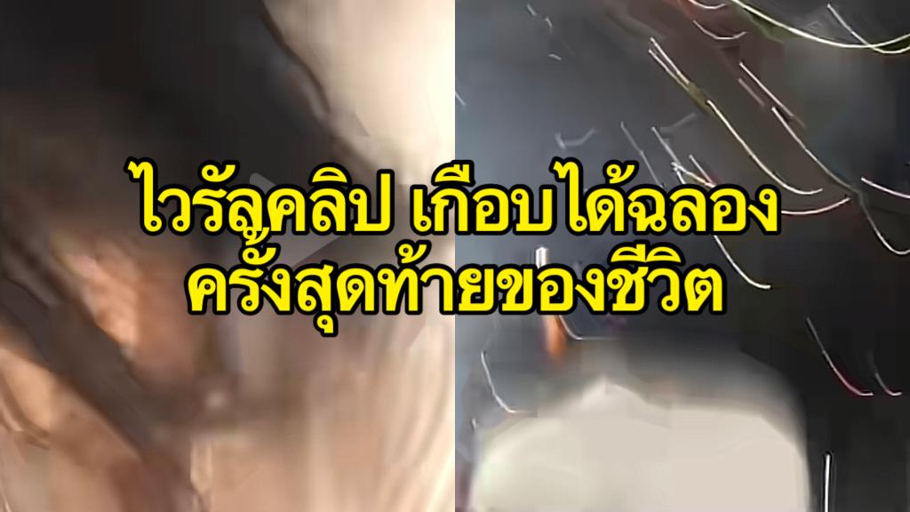 Viral Clip Of 3 Girls Almost Celebrating The Last New Year Of Their Lives After The Fireworks Fall On Their Backs (Watch Clip)