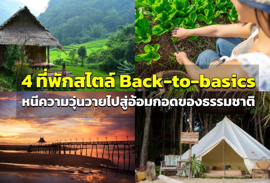 4 ที่พักสไตล์ Back-to-basics หนีความวุ่นวายไปสู่อ้อมกอดของธรรมชาติ