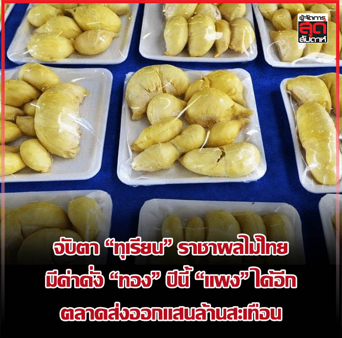 “Durian”, the Thai fruit that rivals the value of “gold”, is worth monitoring.