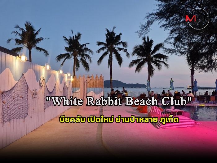 เปิดแล้ว! 