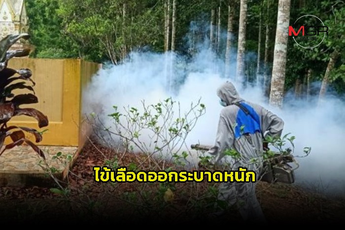 Chumphon Province Takes Action Against Dengue Fever with New Response Center Amidst Spike in Cases
