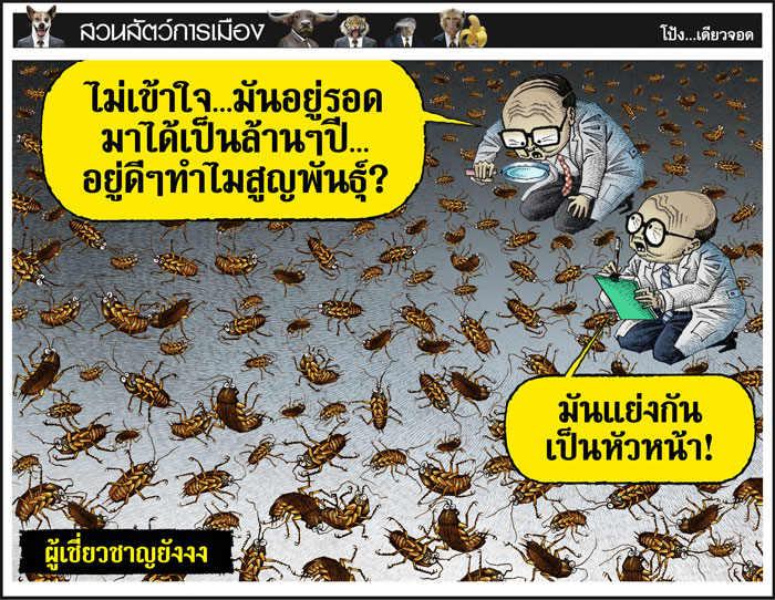 ผู้เชี่ยวชาญยังงง