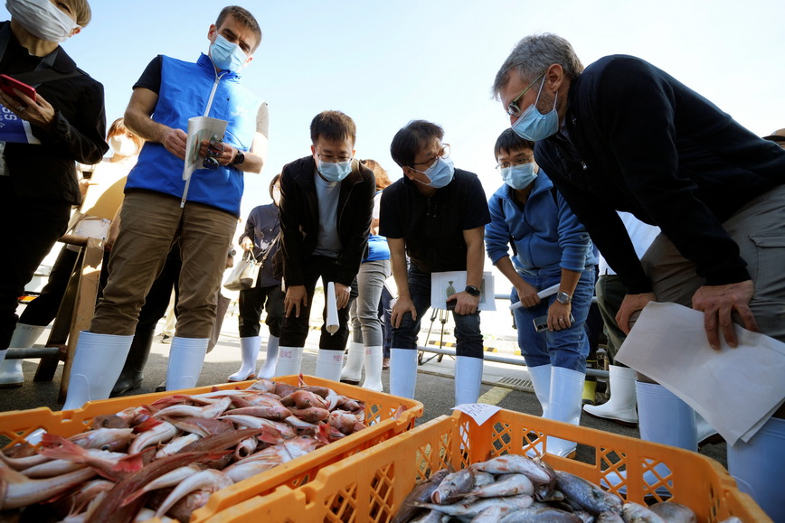 確認する！  IAEA職員は近くの市場から魚のサンプルを収集している。  「福島鉄道」が放射線測定を行う。