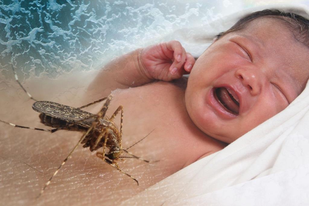 Preventing and treating dengue fever in children: Important measures to take