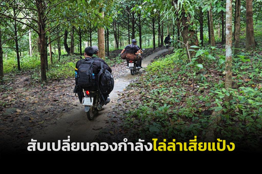 Police Region 8 Investigates Sia Paeng: 1 Million Baht Bounty Set, Villagers Switching to Daytime Rubber Tapping