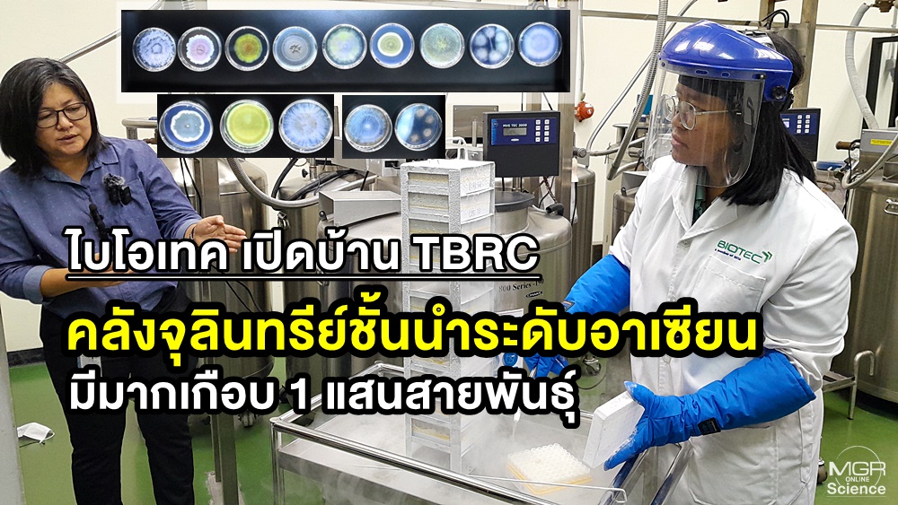 TBRC คลังจุลินทรีย์ชั้นนำระดับอาเซียน ที่มีมากเกือบ 1 แสนสายพันธุ์ ชี้ ...