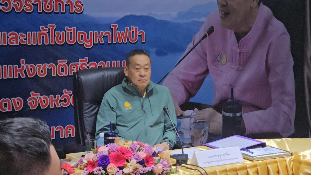 How to Reduce PM2.5 Dust Levels in Chiang Mai: Government Initiatives and Solutions