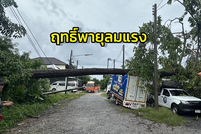 ลมแรงพัดต้นไม้หักทับรถยนต์ เสาไฟ บ้านเรือนประชาชนเสียหายยับ