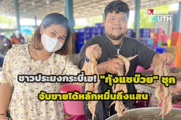 (ชมคลิป) ชาวประมงกระบี่เฮ! "กุ้งแชบ๊วย" ชุกชุม จับขายได้หลักหมื่นยันแสน ผลพวงจากปิดอ่าว 3 เดือน