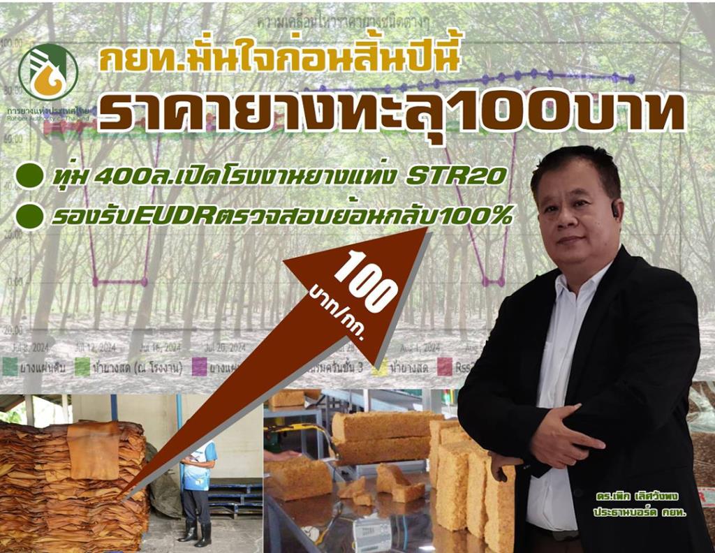 กยท.มั่นใจก่อนสิ้นปีนี้ราคายางทะลุ 100 บาท/กก. ทุ่ม 400 ล้านเปิดโรงงาน ...