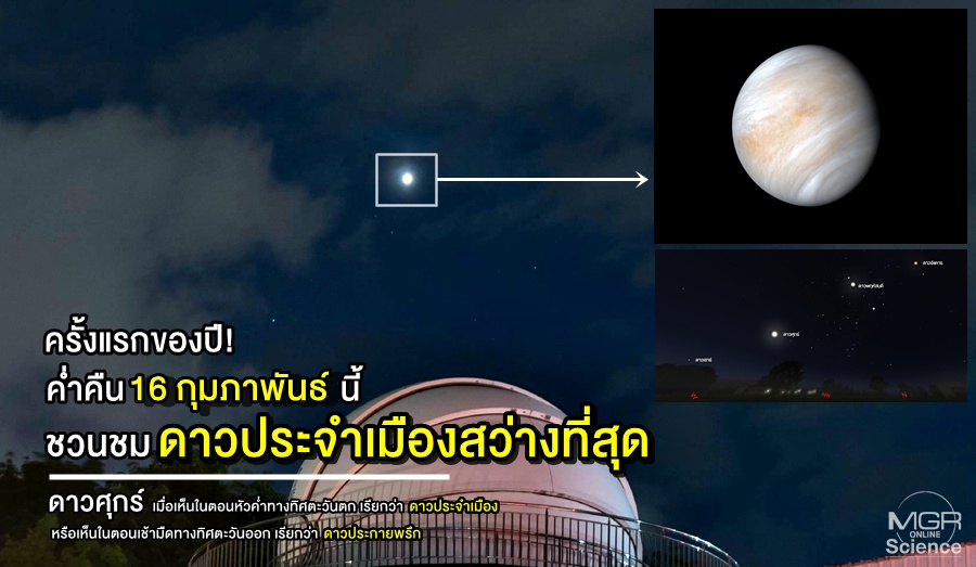 2月16日の最初の「金星」アザレア」