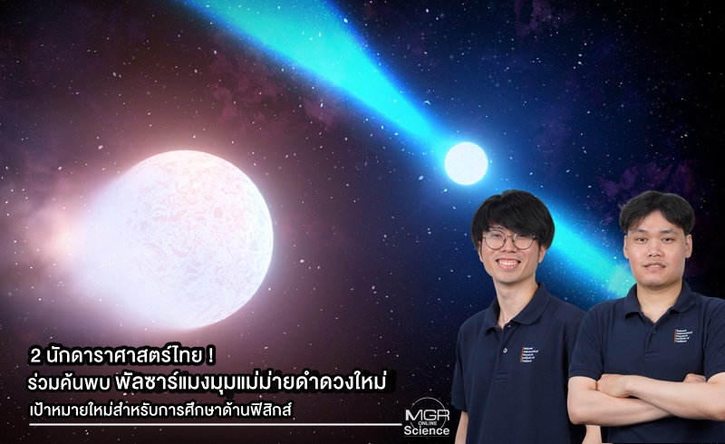 2 astronomes thaïlandais ont découvert « Palzar, une nouvelle araignée de la veuve noire », une nouvelle cible pour les études de physique