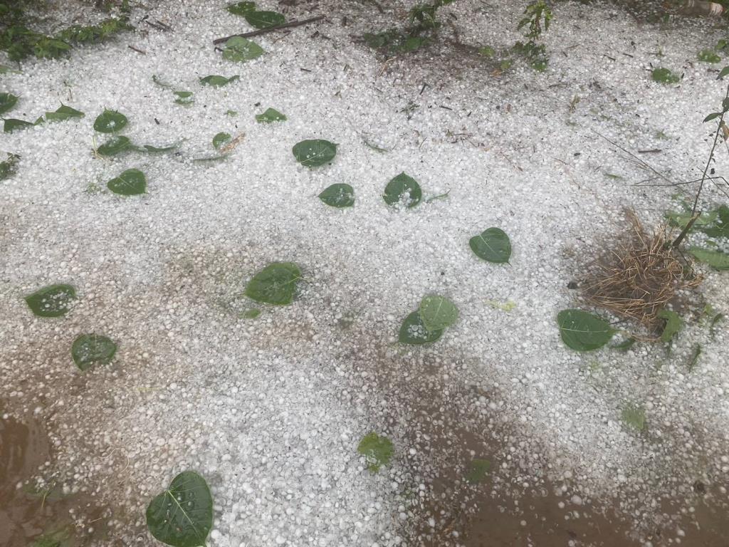 พายุฝนลูกเห็บถล่ม4อำเภอเชียงใหม่บ้านเรือนเสียหาย-ต้นไม้ล้มขวางเส้นทาง