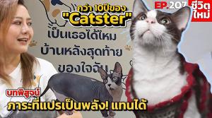 SMEs ไทยเผชิญวิกฤตเงินทุนหมุนเวียน หนี้สูง-รายได้ลด หลังโควิด-19