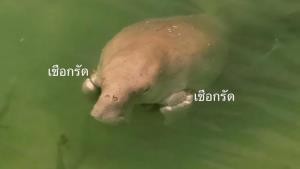 สหรัฐฯ ประกาศมาตรการคว่ำบาตรใหม่ เป้าหมายธนาคารรัสเซียและบริษัทเทคโนโลยี
