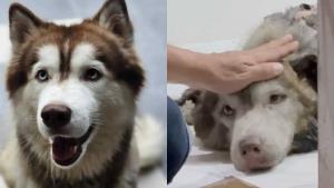 สหรัฐฯ ประกาศมาตรการคว่ำบาตรใหม่ เป้าหมายกลุ่มธุรกิจรัสเซีย-จีน