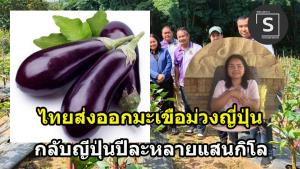 สภาอุตสาหกรรมฯ เผย SMEs ไทยเผชิญวิกฤตหนี้สูง 1.9 ล้านล้านบาท พร้อมเสนอแนวทางฟื้นฟู