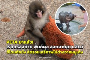 สหรัฐฯ เปิดตัววีซ่าประเภทใหม่ 'วีซ่าท่องเที่ยวเชิงวัฒนธรรม' ดึงดูดนักเดินทางทั่วโลก