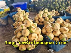 กรมอุทยานฯ ประกาศปิด 4 อุทยานแห่งชาติในภาคเหนือ หลังพบฝุ่น PM2.5 เกินค่ามาตรฐาน