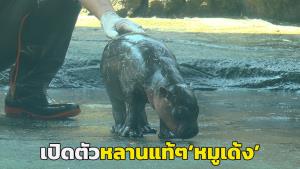 ปิดคดี! ศาลสั่งจำคุก 2 ปี 'ครูปรีชา' คดีล่วงละเมิดทางเพศนักเรียนชาย 4 คน